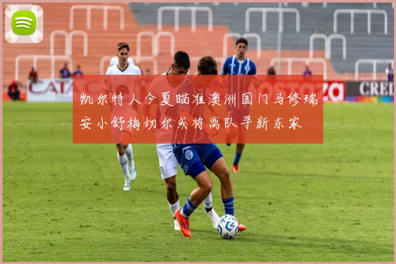 凯尔特人今夏瞄准澳洲国门马修瑞安小舒梅切尔或将离队寻新东家