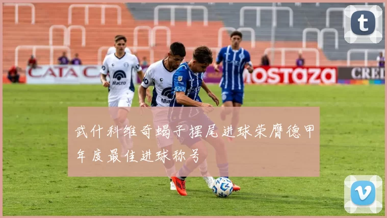 武什科维奇蝎子摆尾进球荣膺德甲年度最佳进球称号